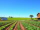 Nachhaltige Landwirtschaftstechniken